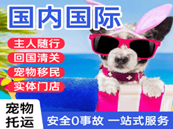 阿拉善左旗巴彦浩特机场快递国际宠物托运 【国